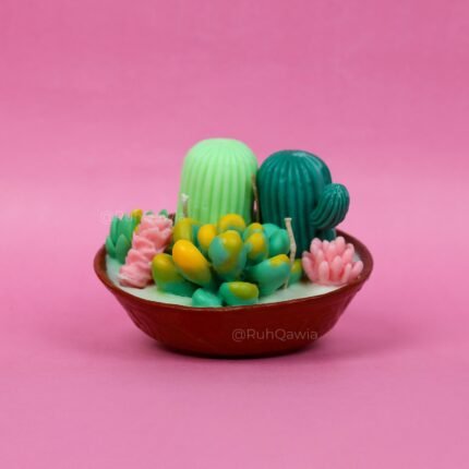 Succulent Family Candle in Terra-cotta Jars